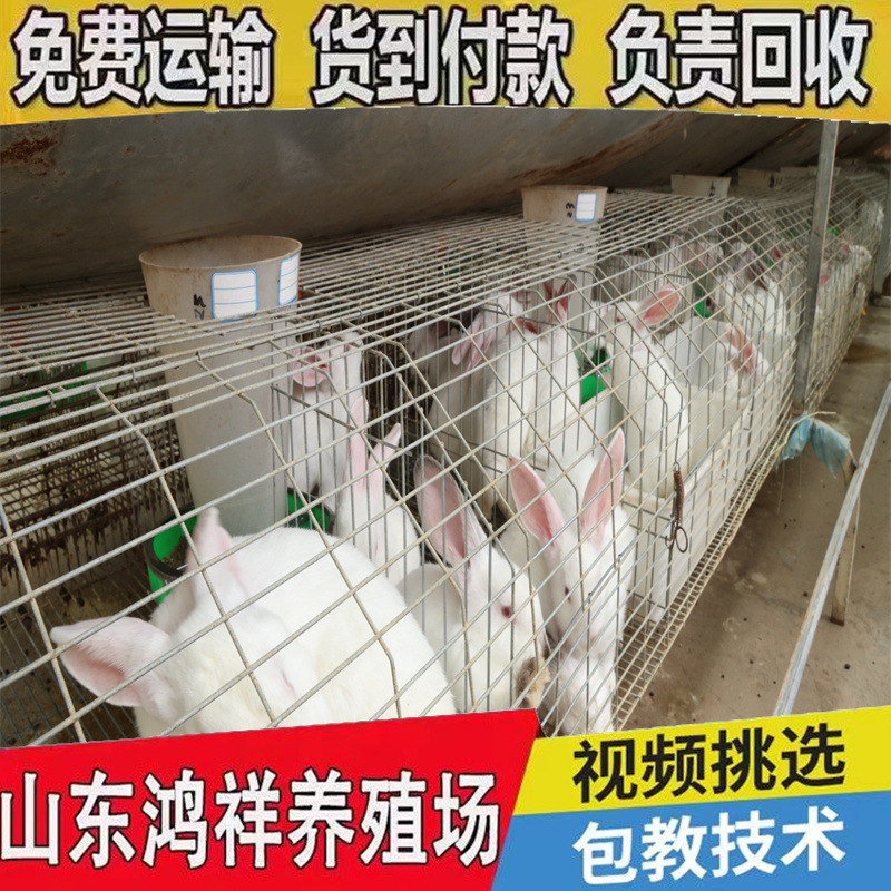 3c974ae7692d717207562352639361