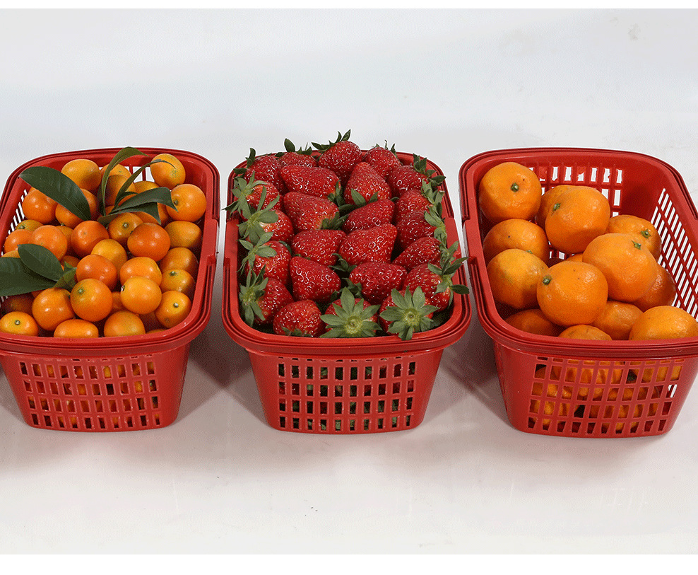 一键复制_20230203145944