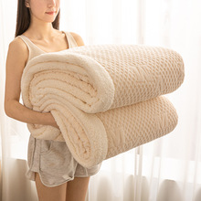 新款羊羔珊瑚绒雕花毛毯冬季加厚铺床盖毯沙发毯办公室午睡小毯子