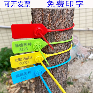 ��ľ��̖��һ�������Ϸ�l�@����ľ�i�ۺ���t���I�����⺞