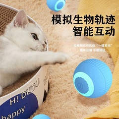 魅力的な知能ボールをかわいがっています。