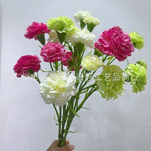 3�^����ܰ���滨����ʯ��ĸ�H�����l�Ҿ��b[��  �zӰ����