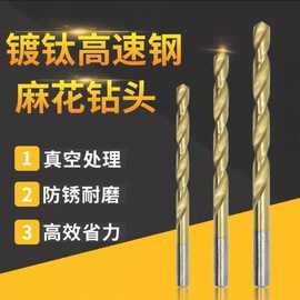 批发高速钢镀钛麻花钻头套装电钻钻孔工具直柄不锈钢电钻头全套一