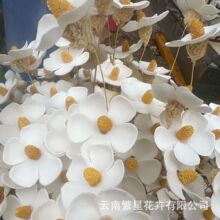 ���_�m��ϸɻ�ins�L�ɻ����ֹ��͏d�廨�b�����diy�����[��