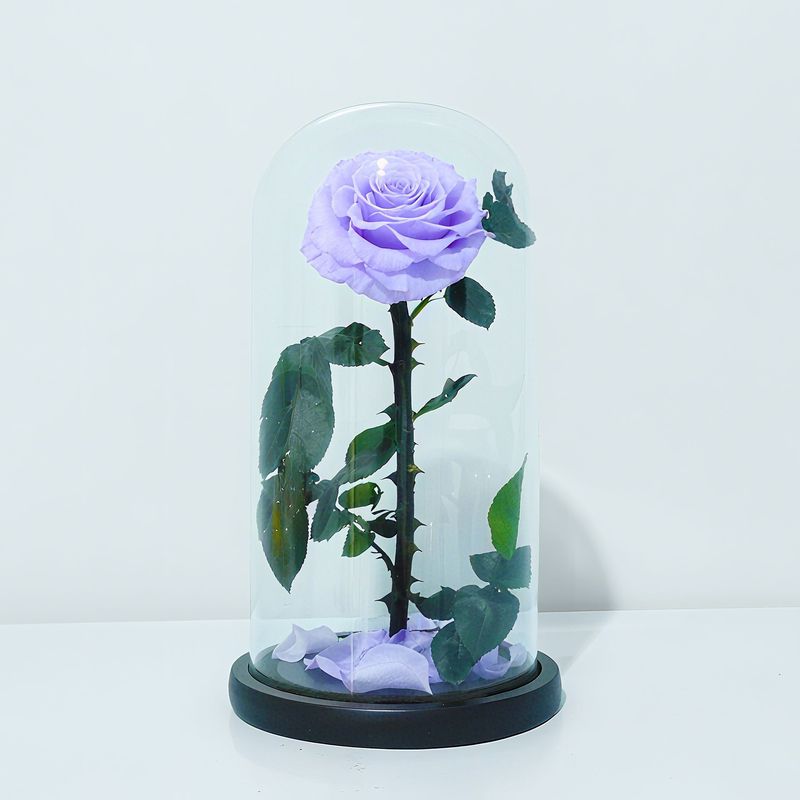 永生花玻璃罩大王子单朵玫瑰花七夕情人节女朋友生日礼物永生花|undefined