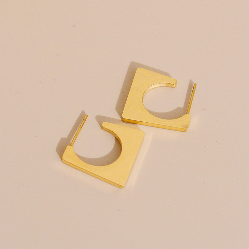 Women's Simple Style Geometric Stainless Steel Ear Studs Metal No Inlaid Stainless Steel Earrings display picture 1