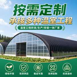 暖棚养殖大棚新型种植温室设计安装猪牛羊养殖搭建