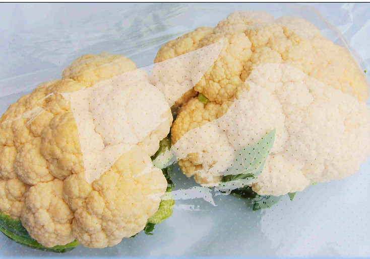 perforated film (15)