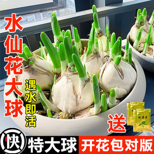 ��������ˮ�ɻ��N��ˮ�Bˮ������ֲ�ﶬ���ͺ����ܺ��B���N��