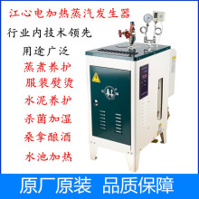 电锅炉 电加热全自动服装熨烫蒸汽发生器3Kw-120Kw电蒸汽锅炉