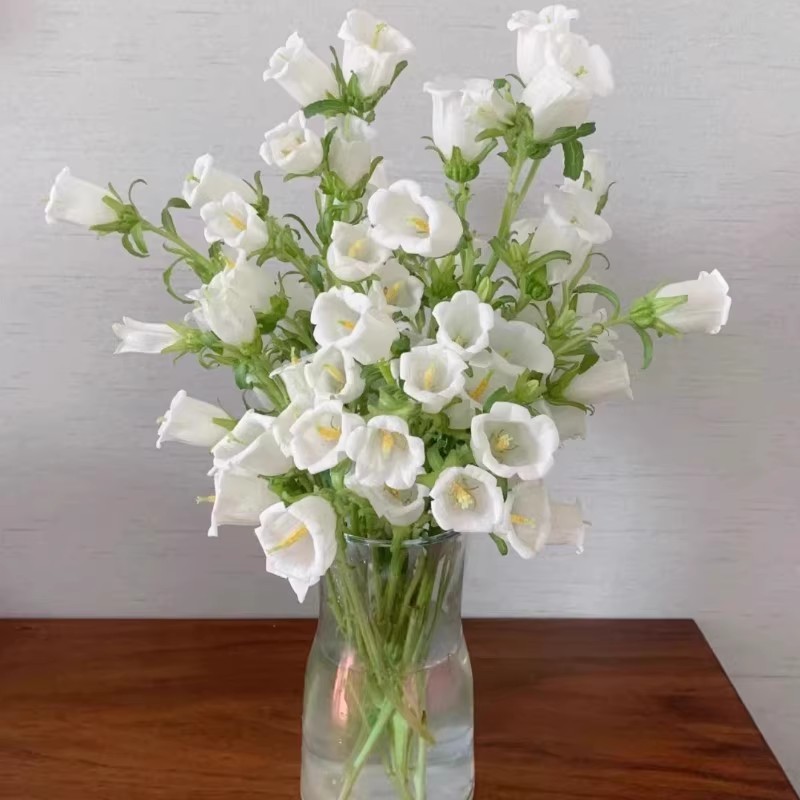 玫瑰花鲜花云南昆明基地批直发百合向日葵红豆家用鲜切水养插|undefined