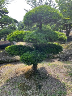 ������Ʒ�����_�h���ߙn����Ϙ�б���hƬӭ���ɴ�СҎ���бM��