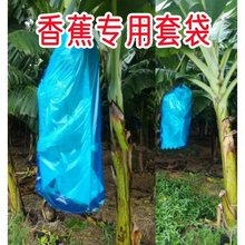 �����㽶�״��Ž��۽����o������͸��W�����}�۷���������