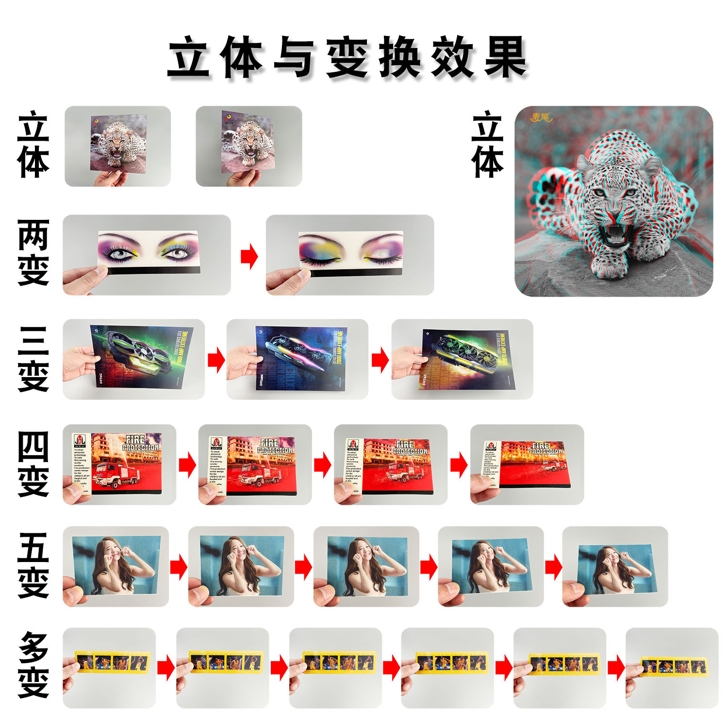 浙江文苍科技有限公司