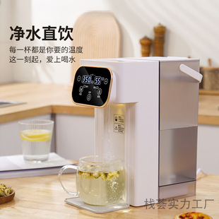 Filter Water Dispenser Four Seasons Desktop Mini Water Dispenser Household Quick Heating Water Desktop Small Kettle Universal