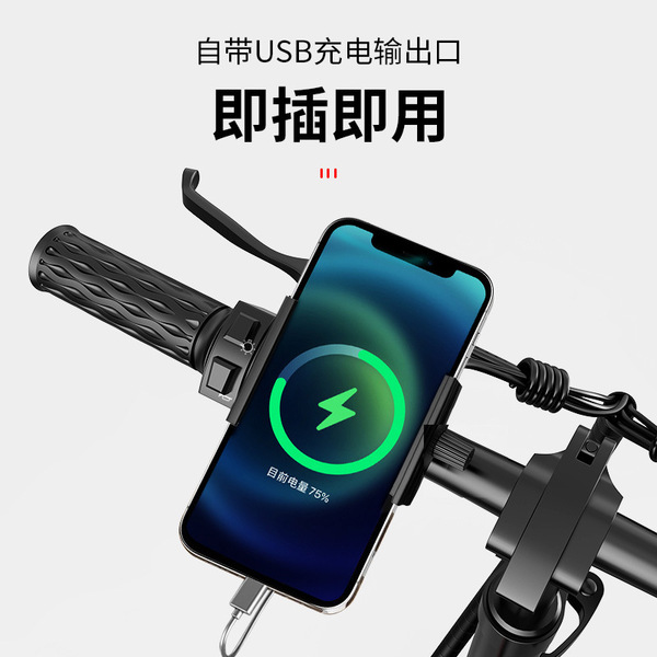 Handheld electric bike