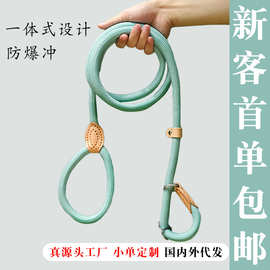 厂家训犬P绳 跨境防爆冲P链可伸缩遛狗绳一体式狗绳 狗狗牵引绳