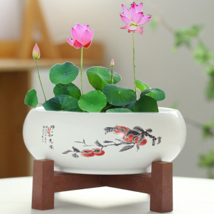 ˮ�ɻ����մ��~�X��ˮ��˯ɏһ�~ɏ��ɏ���X��ˮ�B������ןo�״�
