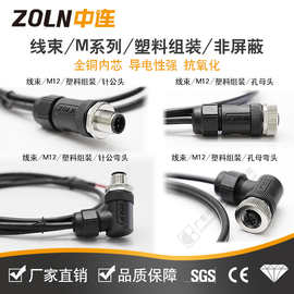 中连M12连接器线束一体成型塑料款组装带线直头/弯头防水航空插头