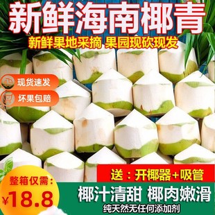 �����Ĳ��aȥƤҬ��9�����������Ҭ�����r�ЋD�a��ˮ����ˮ��