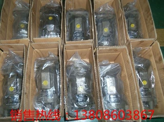 德国REXROTH力士乐柱塞泵A2FM32/61W-VZB106