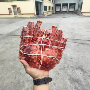 �R��W����з8�½����r����L�_з�ۻ�з2-4���������з���r�͏d