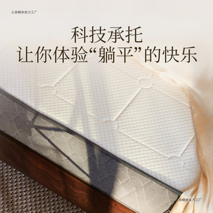 Memory Foam Dual-Purpose Upgraded Atour Tatami Mat Spring Mattress Soft and Hard Thickeneded Mattress Soft Cushion Hotel Double-Sided