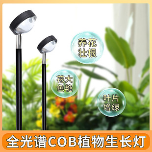 Artificial sunlight indoor plant landscape lamp meat fill light led hot plant charging balcony green plant growth light