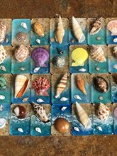 天然贝壳海螺冰箱贴家居工艺品摆件海洋风旅游度假创意礼品纪念品