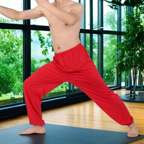 Tai Chi Pants for Men and Women - Spring and Summer Cotton-Linen Breathable Sweat-absorbent Tai Chi Suit Pants - High-end Kung Fu Martial Arts Training Lantern Pants - Hong Ji