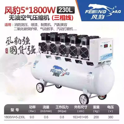 Fengbao Industrial-Grade Air Pump – Hava kompressorları - 51800-230l-380v