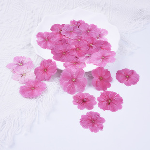 �ѻ��ɻ������滨ֲ��˱����z������Ϟ�T�ֹ�diyѺ����ͯ�ֹ�