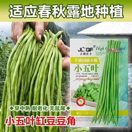 蔬菜种子;其他农业