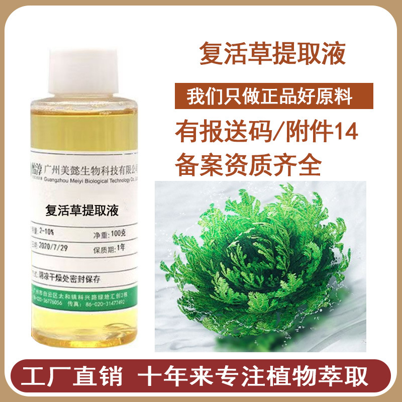 复活草提取液 提取物 萃取液 化妆品植物护肤原料1000克