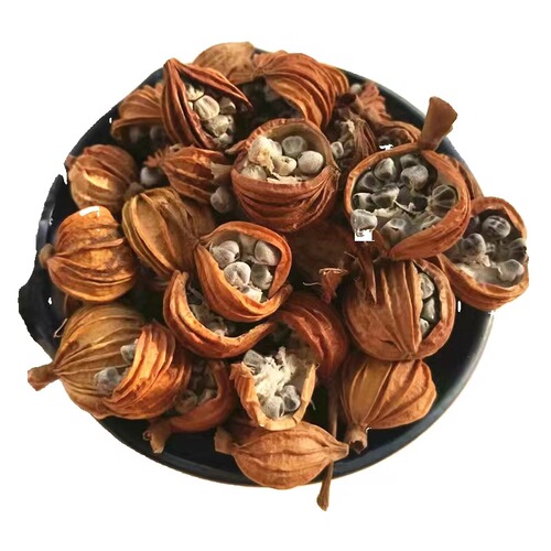 Bulk Sichuan Congkou Xiangsha 500g from High-Quality Origin, Pure Fragrant Sand Powder Seasoning