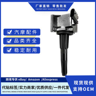 55513555 ignition coil suitable for Buick Chevrolet Cadillac Hummer Opel Saab cross-border brand new