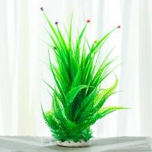 ˮ�����~���쾰�b�Ʒ���ˮ�ݱ������յ��߾Gɫ���������ٻ�