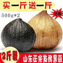 �����^���^����1000gɽ�|���l�خa��؛��������^��ʳ���l