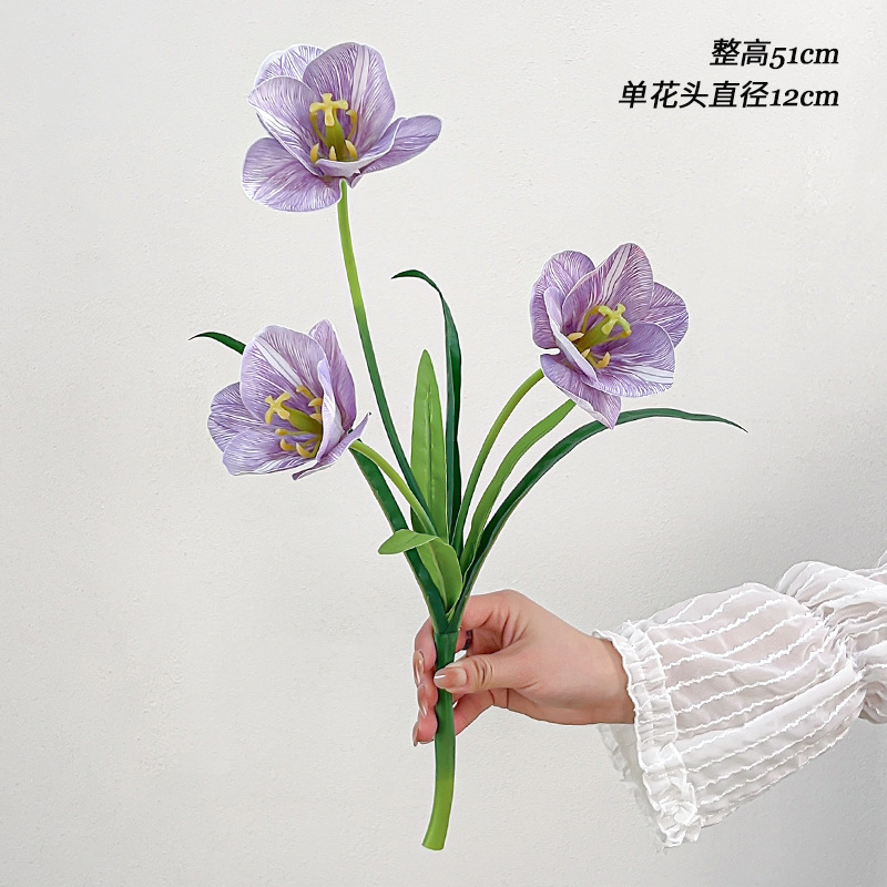 보라색 3개의 머리가 핀 튤립 단일 지점