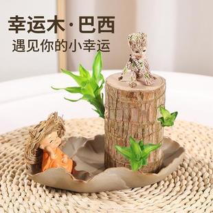 ����ľˮ�B���\ľ�_���Gֲ�҃�����ˮ��ֲ�������С�����ļ���ѿ