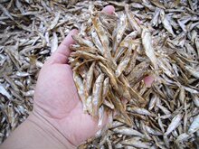 �}��Zʳ�~��؈�Z؈��Z���Z��ˮС�~�ɰ��������ʯ�����������Z