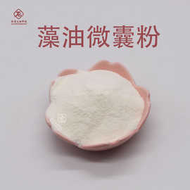 DHA藻油微囊粉  肽爱供应 食品级 藻油粉 藻油微囊粉