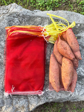 �عϾW�W�����ϴ���ˮ���W������СС̖�t���tɫ���W���K������