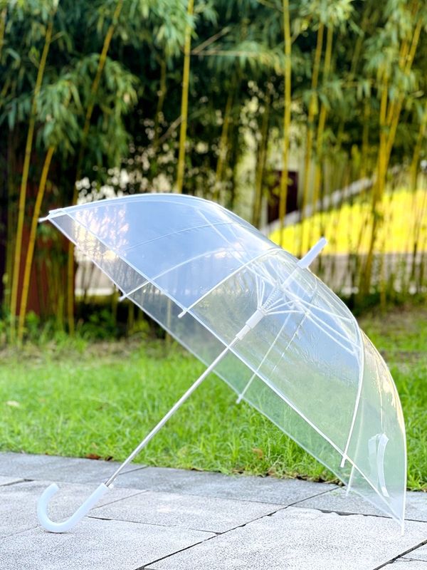 Strong Wind-Resistant Large Transparent Umbrella for Men and Women, Automatic Long-Handle Double Umbrella for Couples