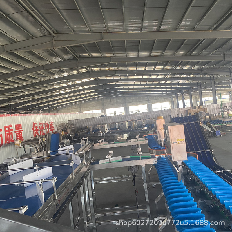 自动海参生蚝重量分选机 多功能水果称重分拣机 鸡翅鸡爪分级设备