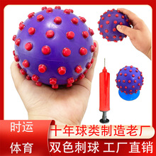 PVC儿童玩具充气双色海胆球 4寸大颗粒宝宝按摩球加厚感统训练