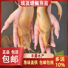 �����~�����X�~�粻�����~�ͻ��횺����TС���^�p�~��ˮ�Bֳ