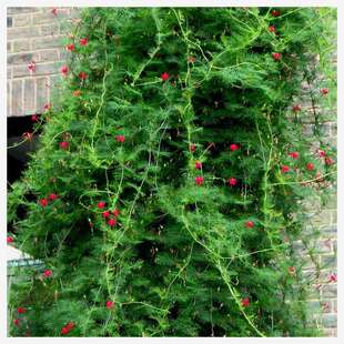 ���~�\�}���N��ͥԺ����ֲ������ǻ������̨�ļ��׷N���_������