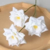 3 rose white