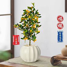 С�����Ԏ������С���������辰�҃�����ֲ���k���ҾGֲ���B����